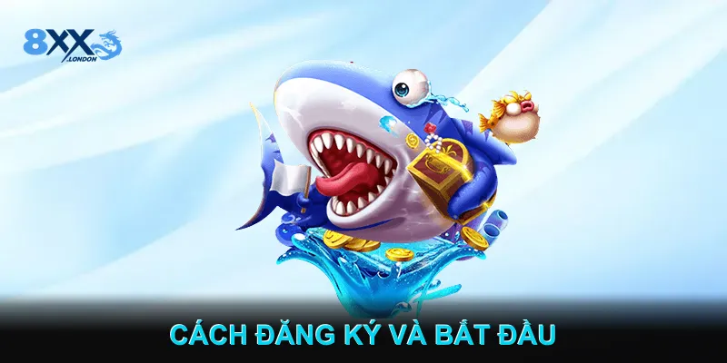 Cách Đăng Ký Và Bắt Đầu