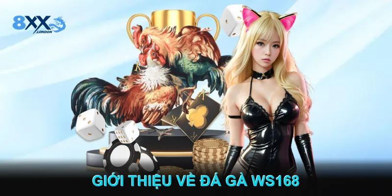 Giới Thiệu Về Đá gà WS168