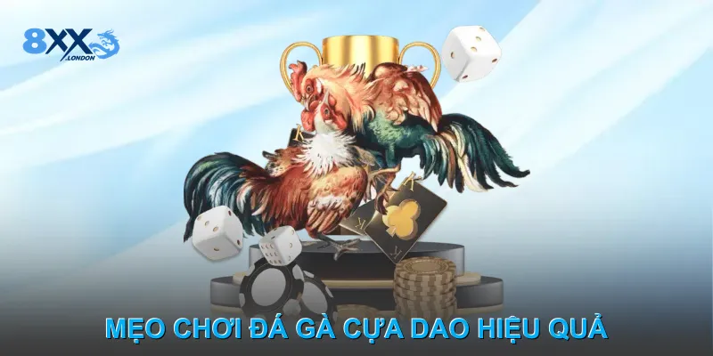 Mẹo chơi Đá gà cựa dao hiệu quả